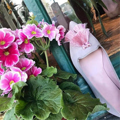 Women's Wild Tassel Pointed Flat   Shoes