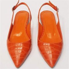 Women's Buckle Point Flat Shoes